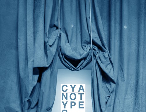 CYANOTYPES: Strategic Skills for Creative Futures